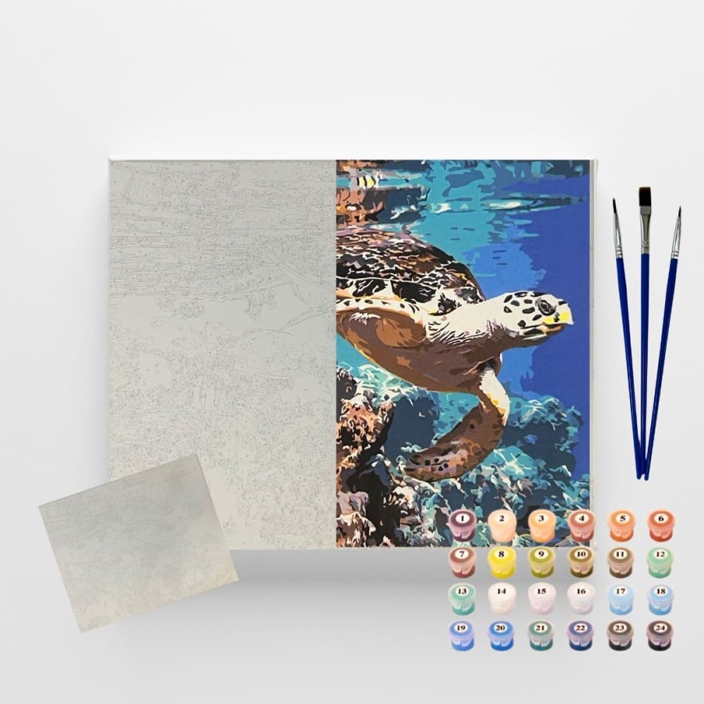 conjunto pintura numerada arte terapia 40x50cm tartaruga marinha